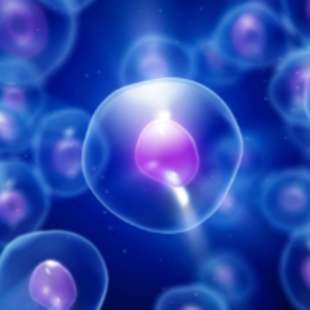 Cellular