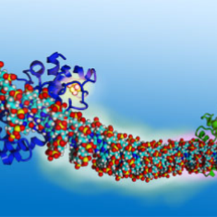 Molecular