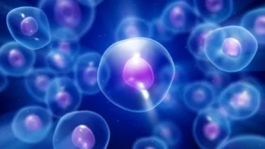 Cellular