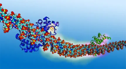Molecular
